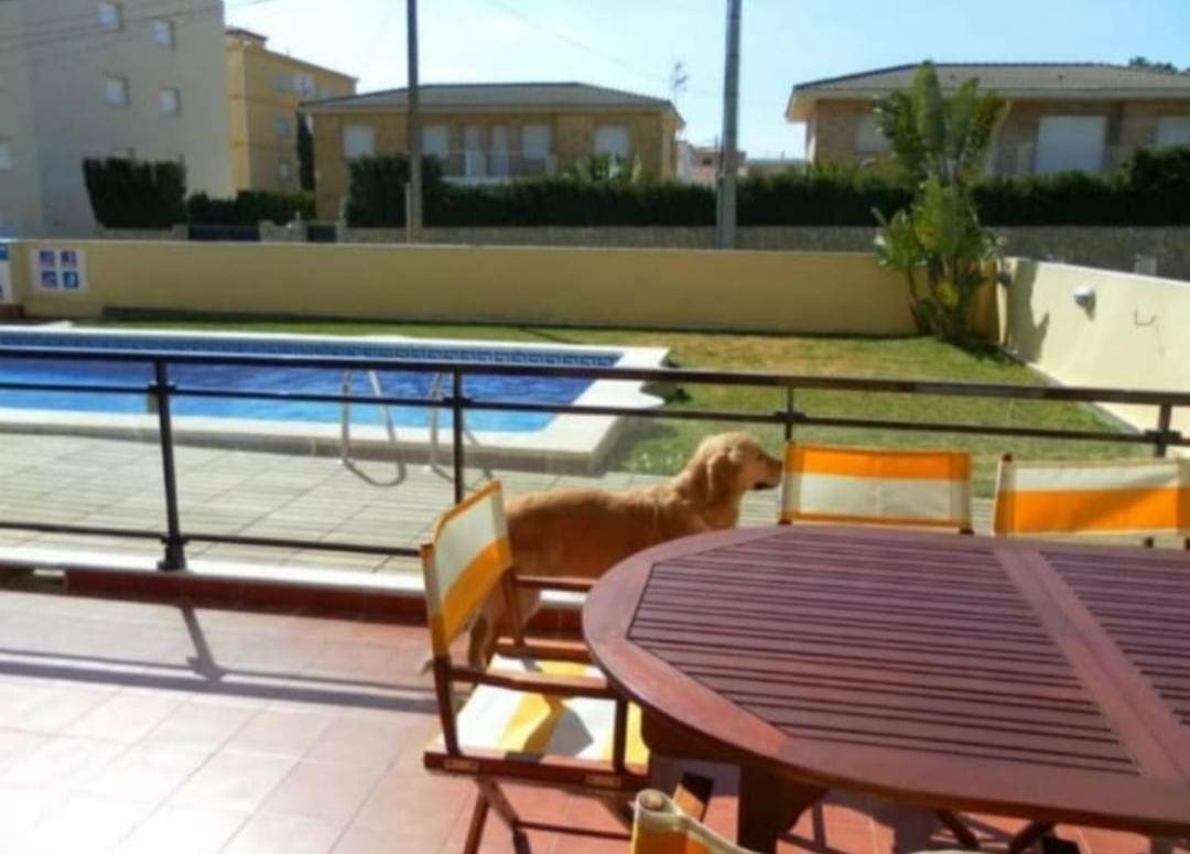 Apartamento Con Terraza Y Acceso Directo A La Piscina Y A 50 M De La Playa Miami Playa Exterior foto